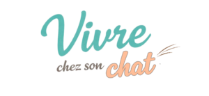 Vivre Chez Son Chat