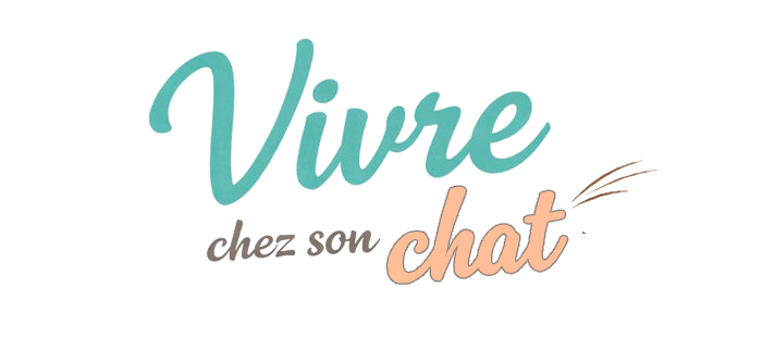 Vivre Chez Son Chat